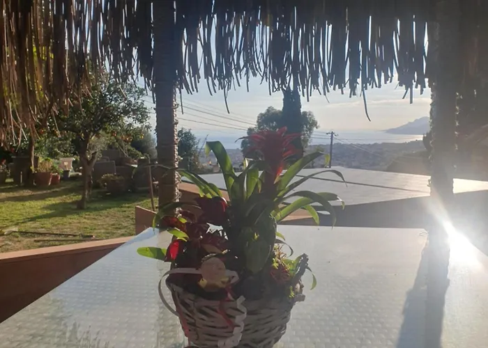 Jaccuzi Vue * Le Cannet