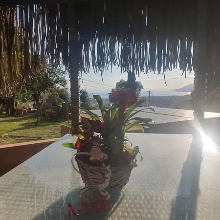 Jaccuzi Vue * ル·カネ